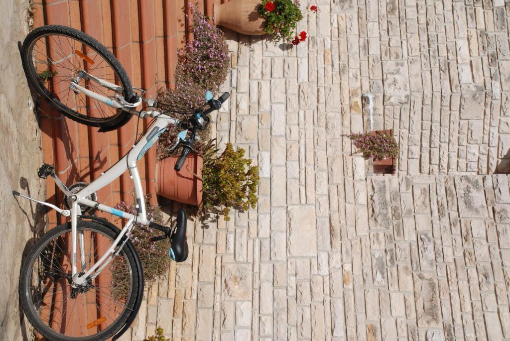 B&B Il Gelso Lecce Extérieur photo